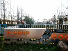 -上海长兴岛郊野公园