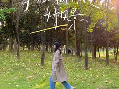 -洨河生态公园
