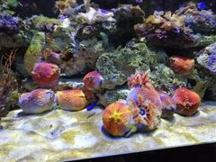 -石林冰雪海洋世界