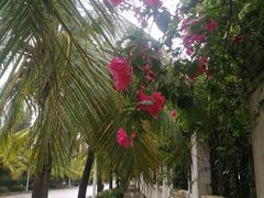 -白沙门生态公园