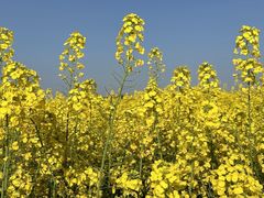 -中国天府农业博览园