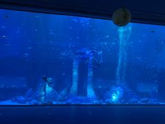 -南昌融创海世界