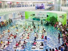 -常青藤国际象棋(新奥店)