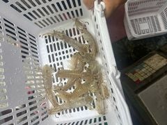 -范饭椰林川湘味海鲜·椰子鸡(三亚湾椰梦长廊店)