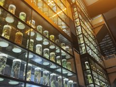 -广东中医药博物馆