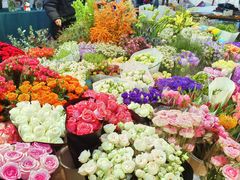 -双季花艺园艺市场(浦东店)