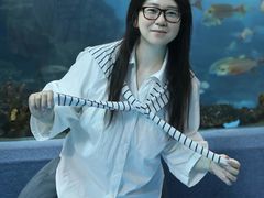 -合肥海洋世界