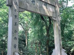 -龙井壹号·茶缘山景宴(龙井村店)