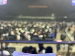 -大连体育中心体育馆