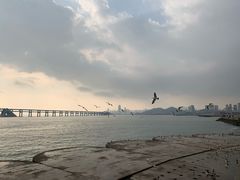 -星海湾跨海大桥