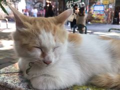 -黄桷坪涂鸦艺术街