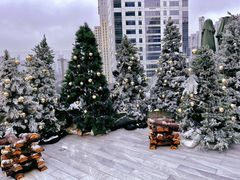 -城市露台景观餐厅(淮海路店)