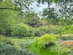 -杭州植物园