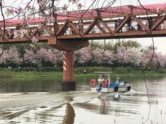 -海珠湖公园