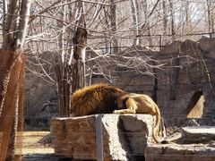 -秦皇岛野生动物园