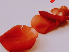 -Golden Lily河内巴黎法越料理餐厅(建国西路店)