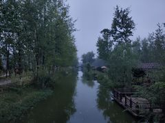 -合肥滨湖国家森林公园