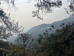 -缙云山景区