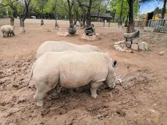 -西安秦岭野生动物园