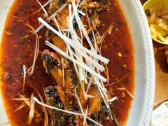 糖醋脆皮鱼-曾牛肉