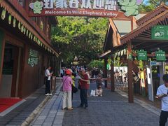 -野象谷景区