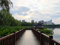 -莲花池公园