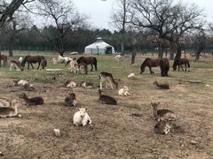 -西安秦岭野生动物园