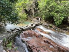 -广州白江湖森林公园