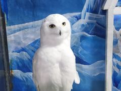 -成都浩海立方海洋公园