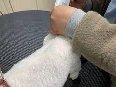 -宠颐生动物医院·小陆分院