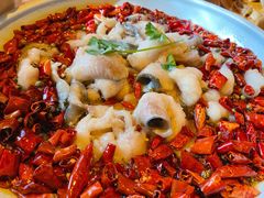 沸腾鱼-龙门阵茶屋川菜馆(武康路店)