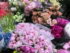 -双季花艺园艺市场(浦东店)