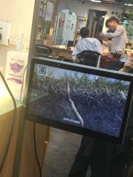 -雅典娜造型