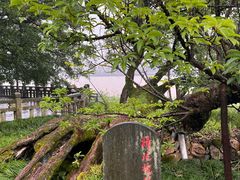 -江心屿景区