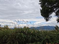 -巢湖姥山岛