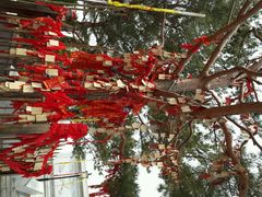 android_upload_pic-横山寺