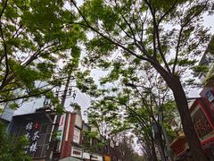 -老黄记手撕烤兔(玉林街店)