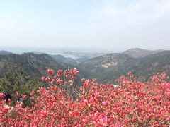 -木兰云雾山