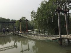 -长兴太湖图影湿地文化园