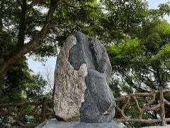-广州市帽峰山景区