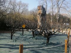 -德胜公园