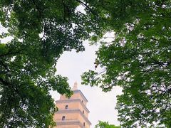 -大雁塔北广场音乐喷泉