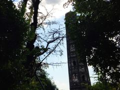 -上海佘山国家森林公园天马山园