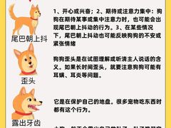 -博特宠物医院24h犬猫全科.骨科·异宠