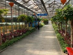 -南宫五洲植物乐园