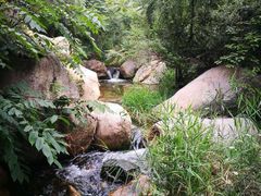 -碓臼峪自然风景区