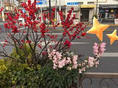 -瑞华公寓