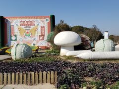-上海都市菜园