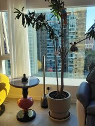 -海菲秀·飞顿牛奶光·LDM官方授权中心美轮美浣瓷感美肌