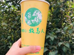 蒙古奶茶-牧马人奶茶馆(乌兰察布总店)